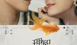 爆料秦岚王鹤棣视频播放,甜蜜瞬间引网友热议